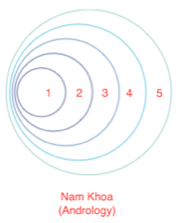 Nam khoa